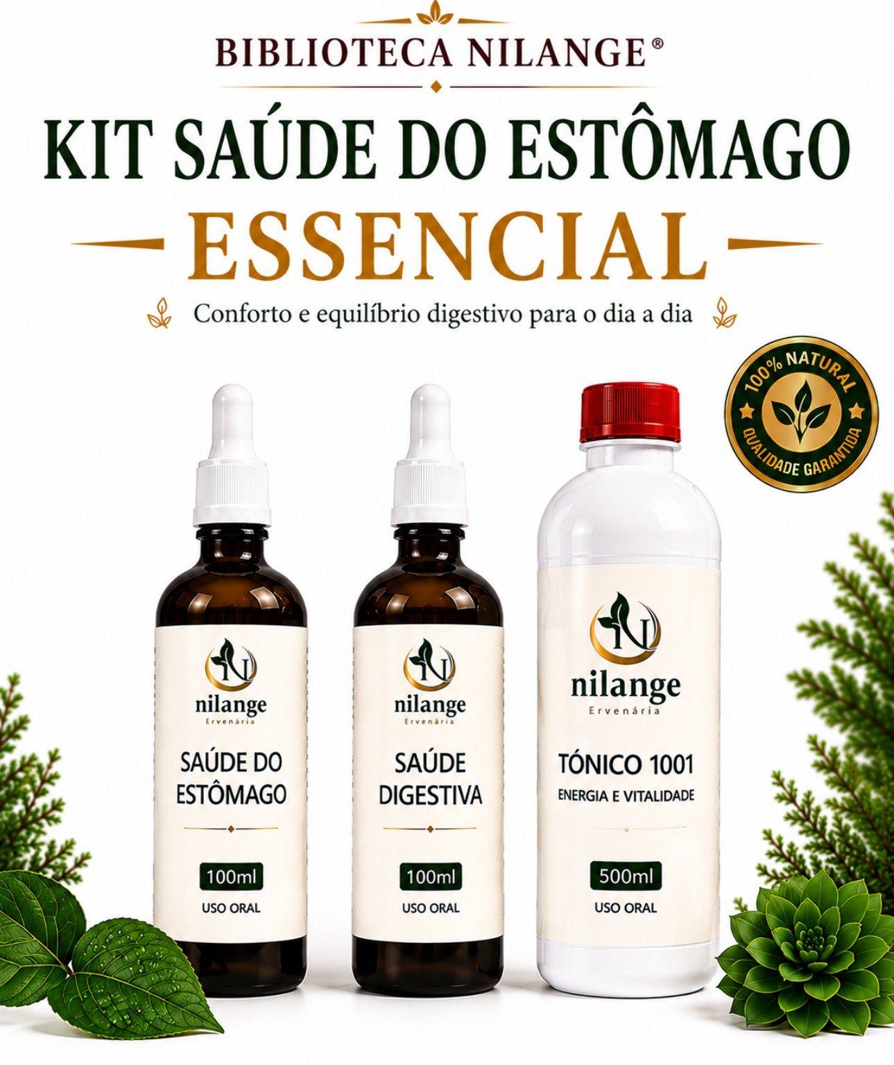 Saúde do Estômago
